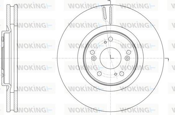 Woking D61607.10 - Əyləc Diski furqanavto.az