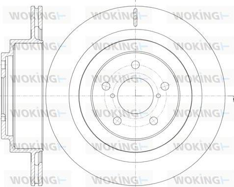 Woking D61001.10 - Əyləc Diski furqanavto.az