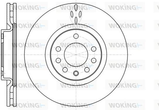 Woking D61017.10 - Əyləc Diski furqanavto.az