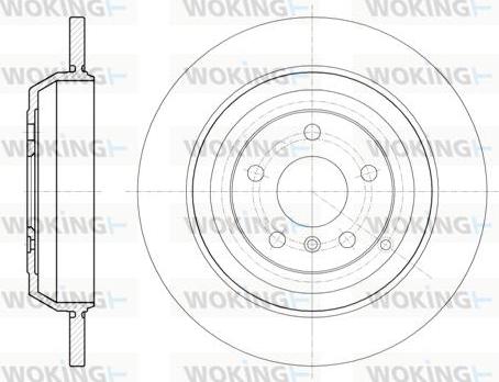 Woking D61166.00 - Əyləc Diski furqanavto.az