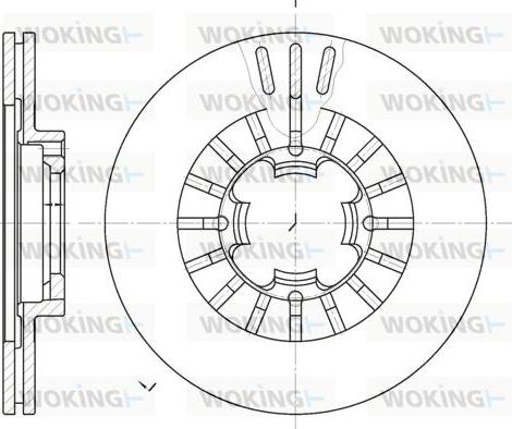 Woking D61109.10 - Əyləc Diski furqanavto.az