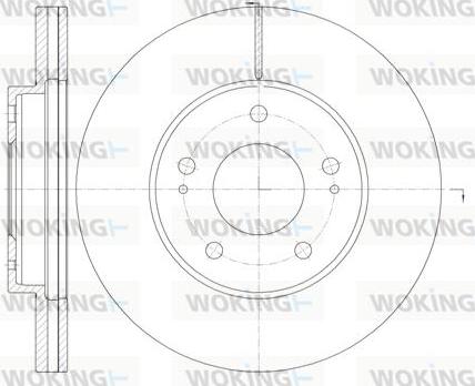 Woking D61130.10 - Əyləc Diski furqanavto.az