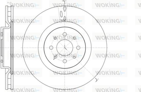 Woking D61391.10 - Əyləc Diski furqanavto.az