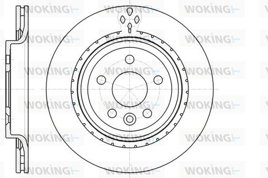 Woking D61305.10 - Əyləc Diski furqanavto.az