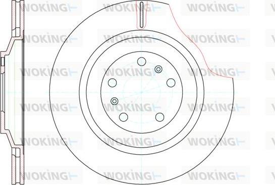 Woking D61206.10 - Əyləc Diski furqanavto.az