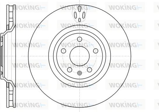 Woking D61213.10 - Əyləc Diski furqanavto.az