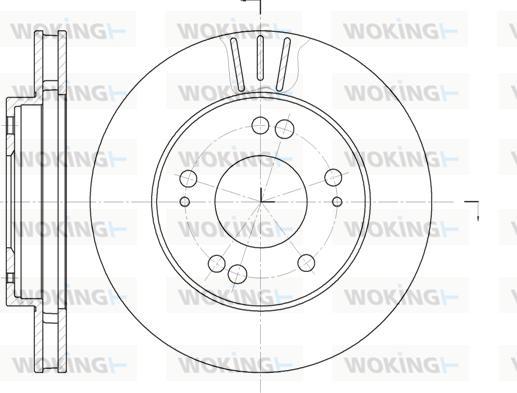 Woking D61220.10 - Əyləc Diski furqanavto.az