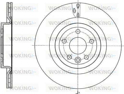 Woking D61759.10 - Əyləc Diski furqanavto.az