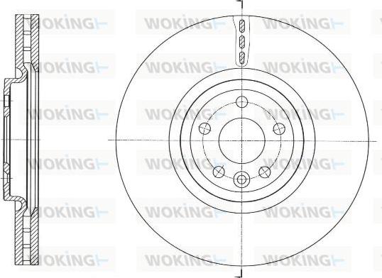 Woking D61758.10 - Əyləc Diski furqanavto.az