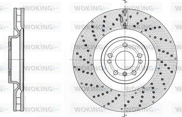 Woking D61761.10 - Əyləc Diski furqanavto.az