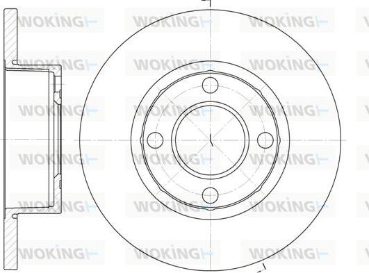 Woking D6173.00 - Əyləc Diski furqanavto.az