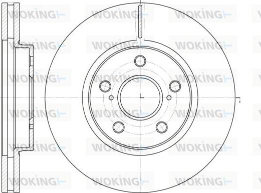 Woking D6862.10 - Əyləc Diski furqanavto.az