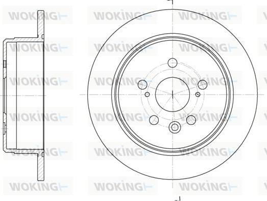 Woking D6245.00 - Əyləc Diski furqanavto.az