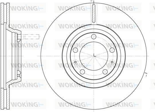 Woking D6247.10 - Əyləc Diski furqanavto.az