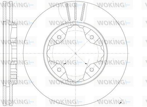 Woking D6205.10 - Əyləc Diski furqanavto.az