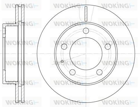 Woking D6203.10 - Əyləc Diski furqanavto.az