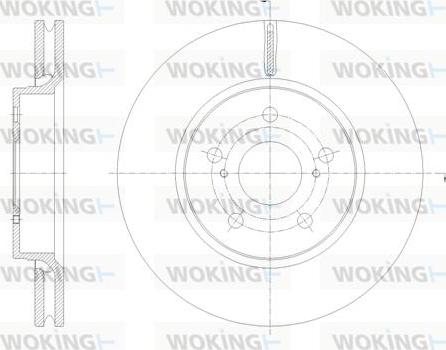 Woking D62134.10 - Əyləc Diski furqanavto.az