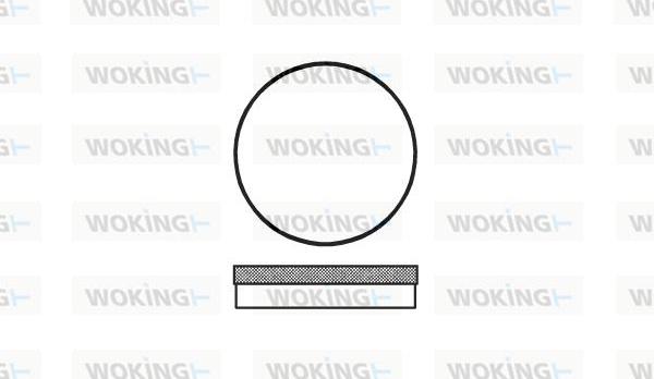 Woking P1703.00 - Əyləc altlığı dəsti, əyləc diski furqanavto.az