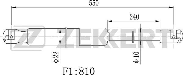 Zekkert GF-1087 - Qazlı bulaq, baqaj, yük yeri furqanavto.az