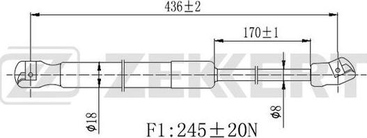 Zekkert GF-2447 - Qaz bulaq, kapot furqanavto.az