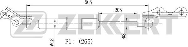 Zekkert GF-2161 - Qazlı bulaq, baqaj, yük yeri furqanavto.az