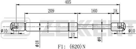 Zekkert GF-2139 - Qazlı bulaq, baqaj, yük yeri furqanavto.az