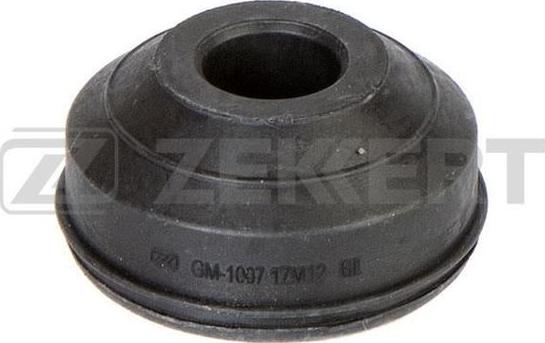 Zekkert GM-1007 - Spacer Bush, amortizator furqanavto.az