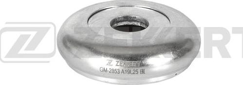 Zekkert GM-2853 - Yollanan podşipnik, asma dayaq dayağının montajı furqanavto.az