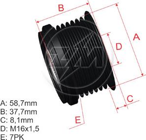 ZM ZM 96.000.25 - Kasnak, alternator, sərbəst dönərli mufta furqanavto.az