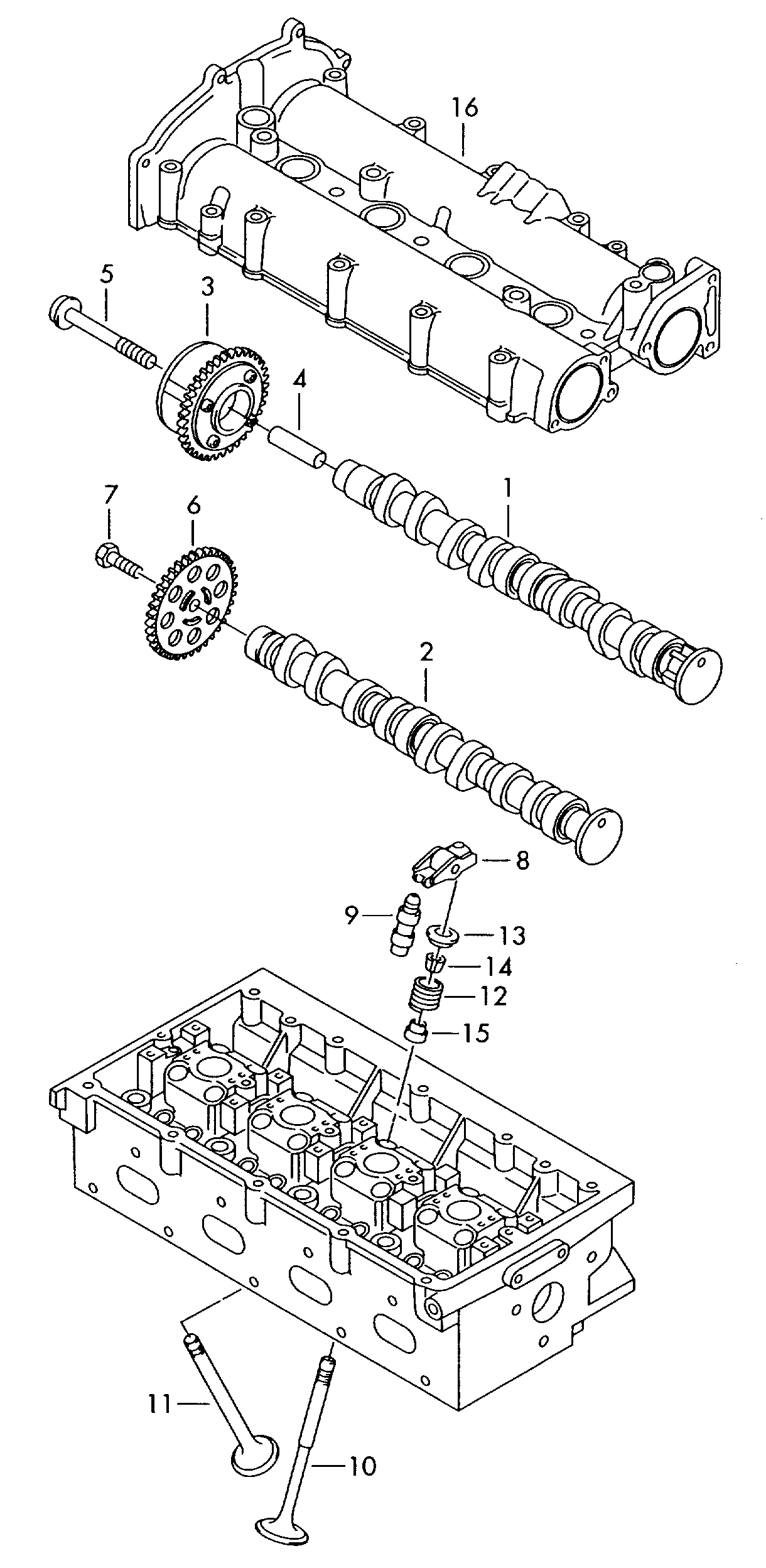 AUDI 03C 198 229 B - Vaxt zəncirinin dəsti furqanavto.az