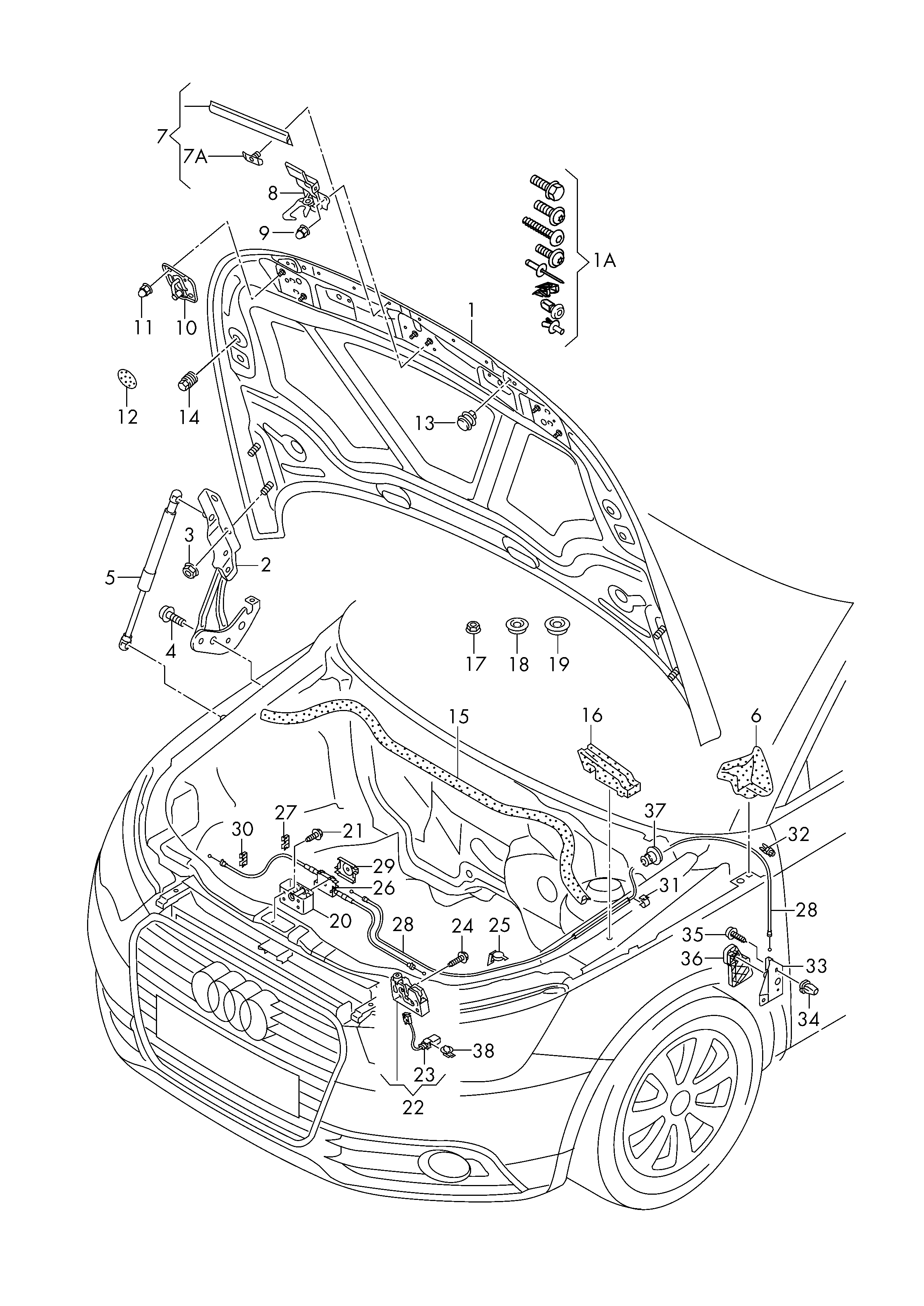 VAG 8X0 823 359 - Qaz bulaq, kapot furqanavto.az