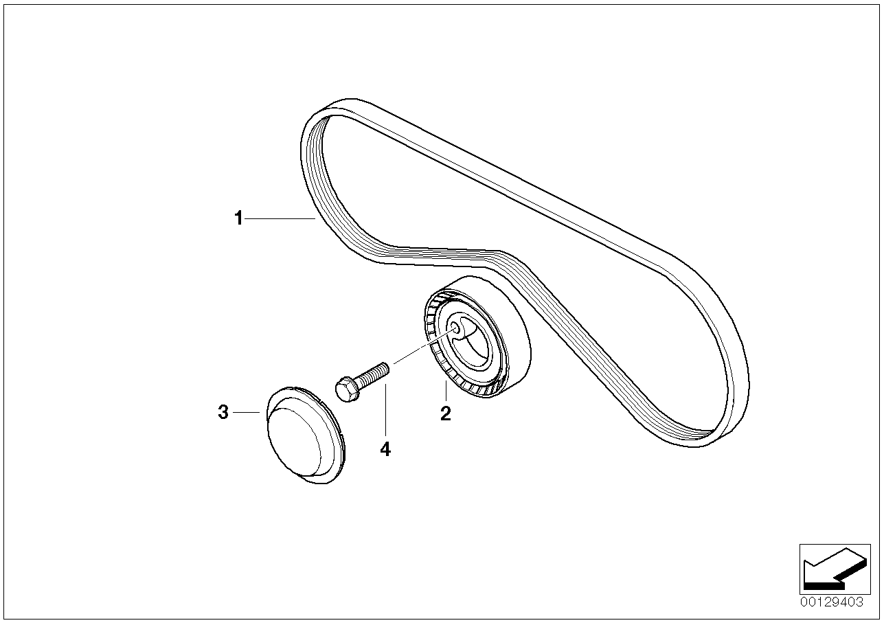 BMW 11 28 1 743 193 - V-yivli kəmər furqanavto.az