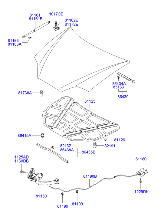 Hyundai 81161-2C001 - Qaz bulaq, kapot furqanavto.az