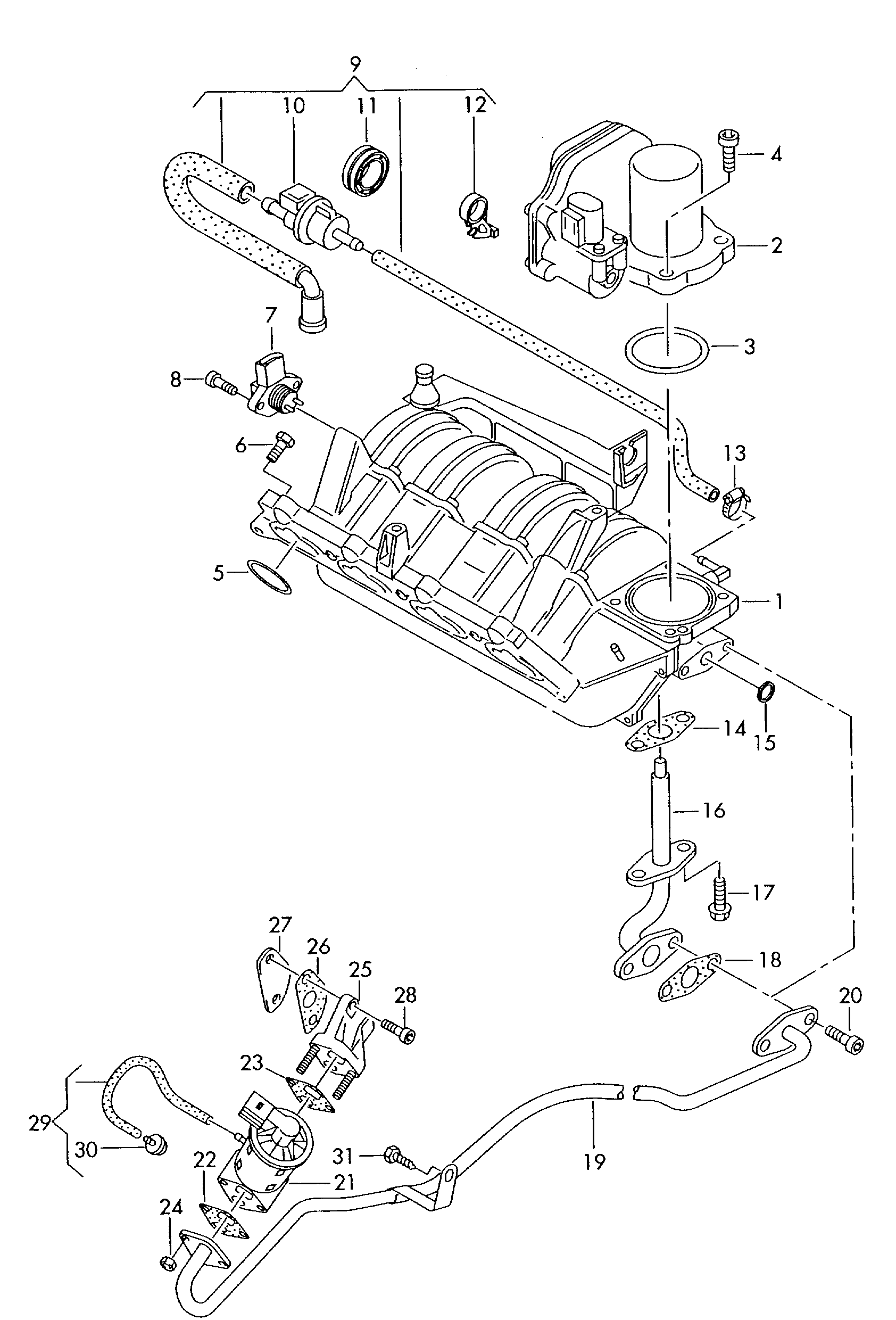 Porsche 036131503T - EGR Valf furqanavto.az