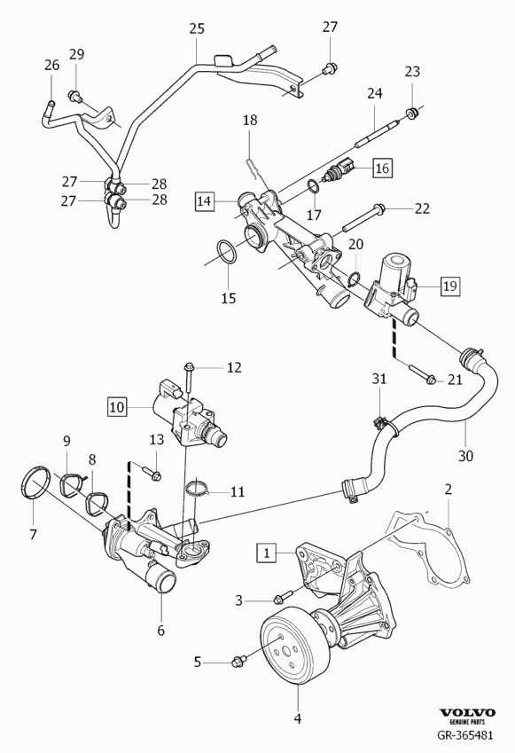 Volvo 31368353 - Su nasosu furqanavto.az